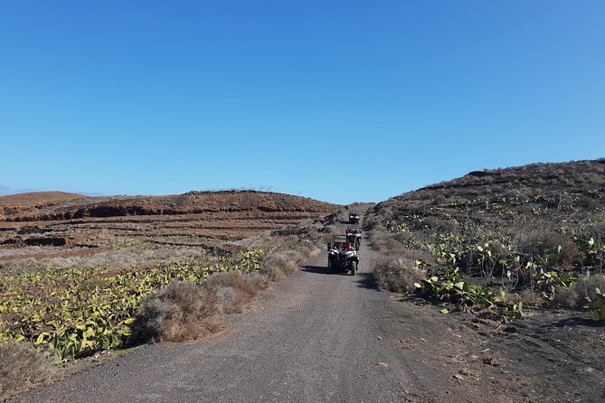 3-Hour Buggy Tour From Costa Teguise - Reviews