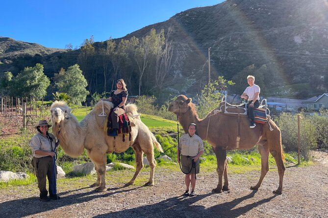 3 Hour Camel Trek Into the Forest and Ranch in California - Location Details