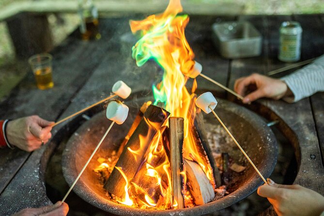 3 Hour Campfire Cooking Experience at Notgrove - Accessibility and Transportation