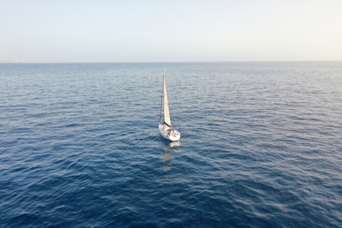 3-Hour Cetacean Watching and Snorkeling Tour in Tenerife - End Point and Cancellation Policy