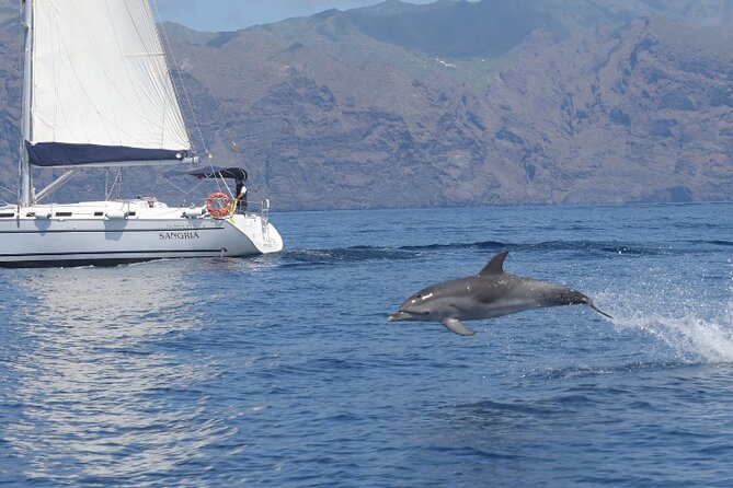 3-Hour Cetacean Watching and Snorkeling Tour in Tenerife - Directions