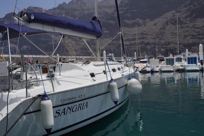 3-Hour Cetacean Watching and Snorkeling Tour in Tenerife - Common Questions
