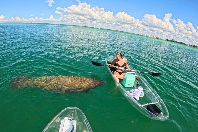 3-Hour Clear Kayak Beach Hopping Adventure in Sarasota - Good To Know