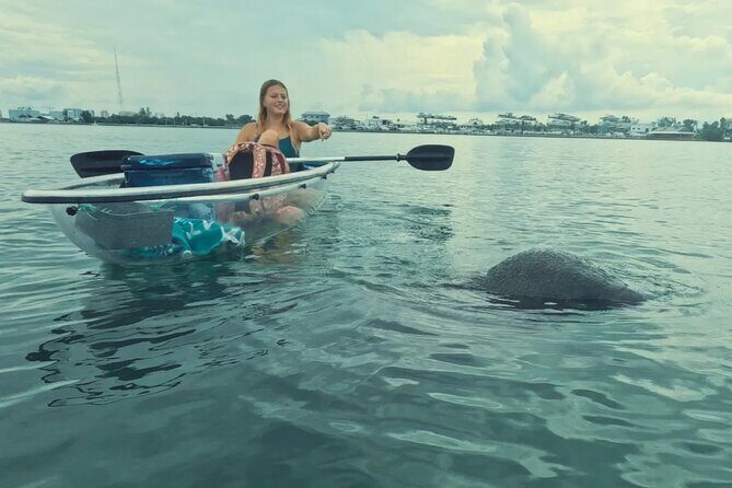 3-Hour Clear Kayak Beach Hopping Adventure in Sarasota - Discovering the Sarasota Kayak Experience