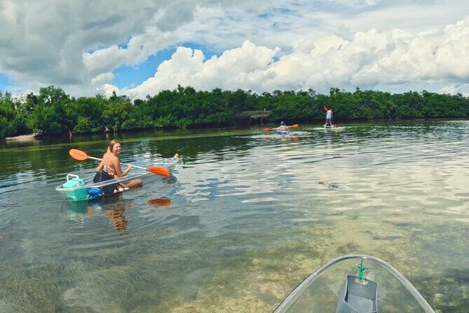 3-Hour Clear Kayak Beach Hopping Adventure in Sarasota - FAQ