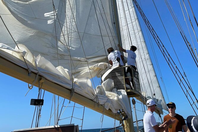 3 Hour Cruise Experience From Vilamoura - The Sum Up