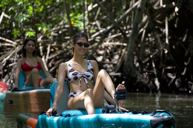 3-Hour Damas Mangrove Kayak Tour - Meeting Point Details