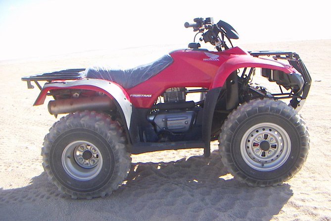 3-Hour Desert Safari Quad Bike and Camel Ride - Good To Know
