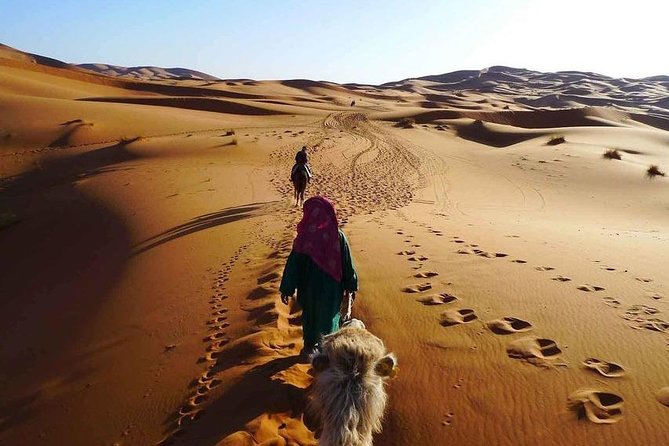 3-Hour Desert Safari Quad Bike And Camel Ride - Good To Know