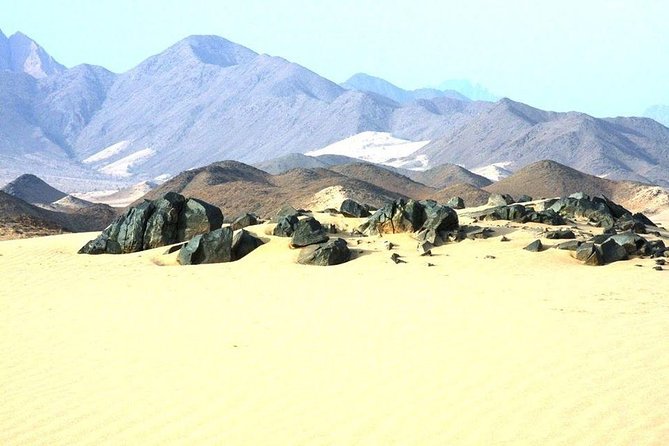 3-Hour Desert Safari Quad Bike And Camel Ride - Duration and Inclusions