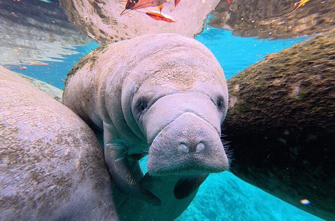 3 Hour Double Kayak Rental - FAQ