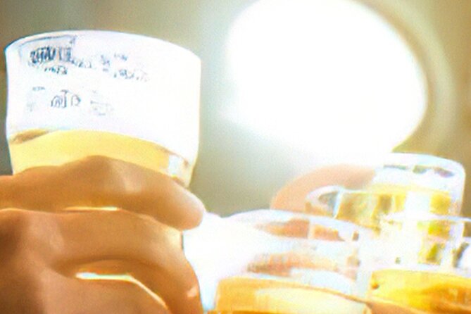 3-Hour Drinks on Foot Dublin Walking Guided Tour - Cancellation Policy