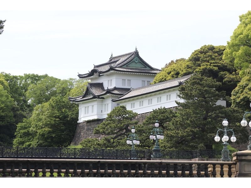 3-Hour E-Bike Experience in Central Tokyo: Palace & Hidden Gems - Aoyama Cemetery and Hachiko’s grave