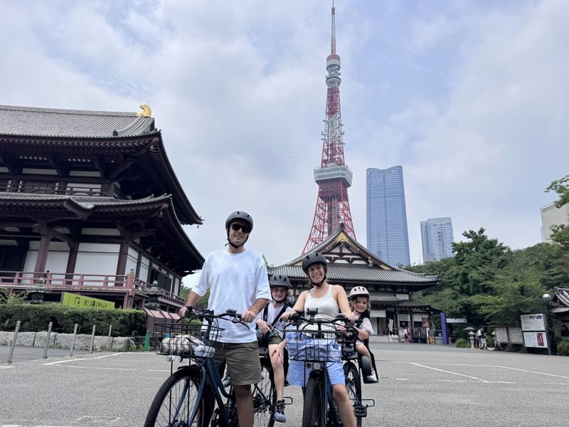 3-Hour E-Bike Experience in Central Tokyo: Palace & Hidden Gems - Meiji Jingu Gaien’s Ginkgo Avenue