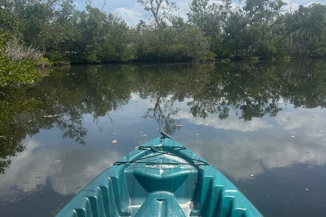 3 hour E.G. Simmons Park Mangrove Tunnel Tour - Good To Know