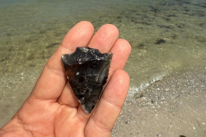 3 hour E.G. Simmons Park Mangrove Tunnel Tour - A Detailed Look at the 3-Hour E.G. Simmons Park Mangrove Tunnel Tour