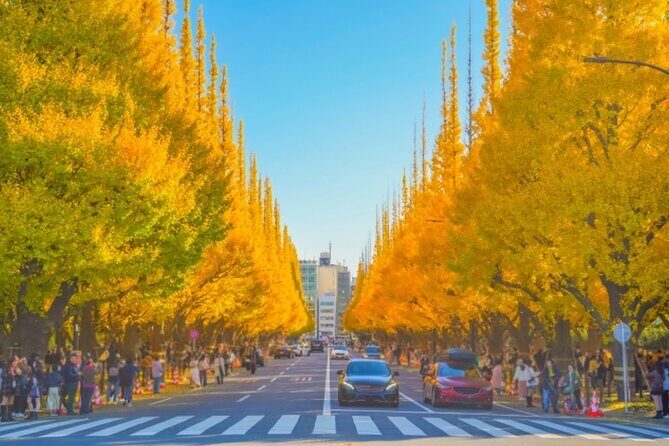 3-hour electric bicycle tour of Tokyo's famous sights - Practical Details and Tips