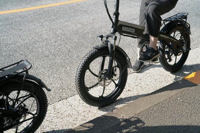 3-hour electric bicycle tour of Tokyo's famous sights - Why This Tour Is Worth Considering