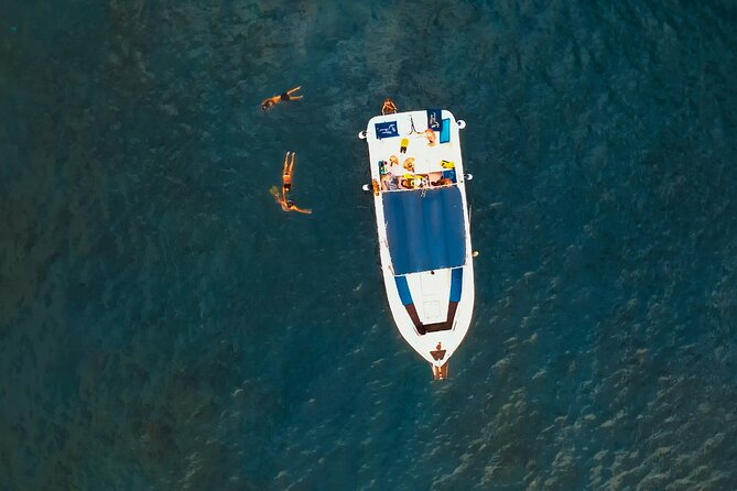 3-Hour Excursion to Puerto Colón Adeje to See Whales - Excursion Duration and Location
