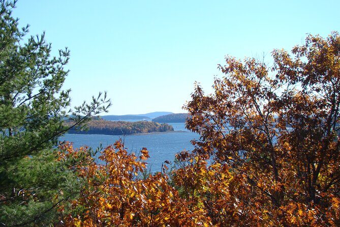 3 Hour Fiord, Mansions, Rocky Coastline - Who Should Book This Tour?