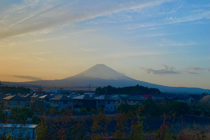 3-Hour Gotemba Food and Nightlife Izakaya Walking Tour - Experienced Tour Guide