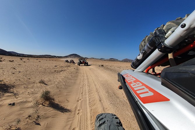 3 Hour Guided Buggy Tour Around the Island of Lanzarote - Tour Details