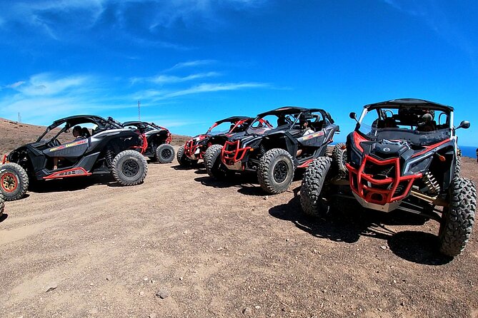 3 Hour Guided Buggy Tour Around the Island of Lanzarote - Inclusions