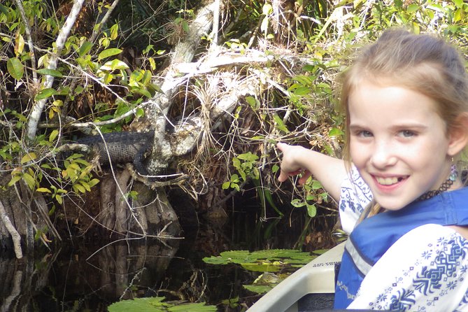3 Hour Guided Mangrove Tunnel Kayak Eco Tour - End Point and Return