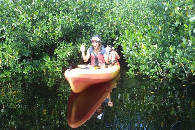 3 Hour Guided Mangrove Tunnel Kayak Eco Tour - Common Questions