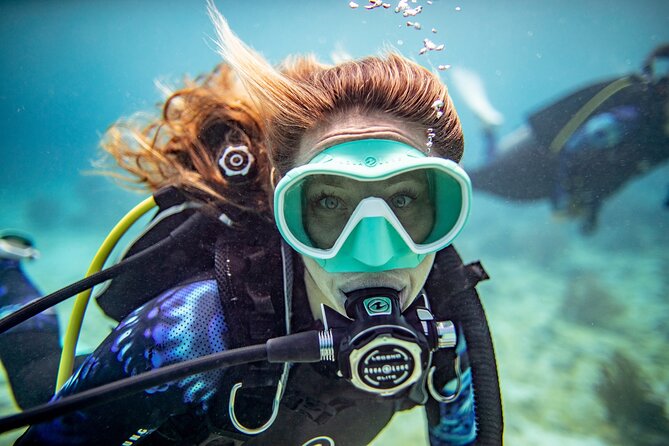 3-Hour Guided PADI Scuba Diving Experience in Tenerife - What to Expect and Logistics