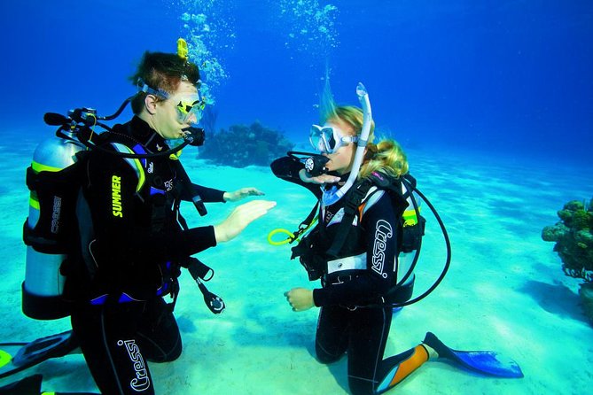 3-Hour Guided PADI Scuba Diving Experience in Tenerife - Reviews and Ratings