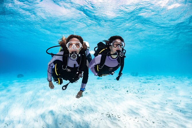 3-Hour Guided PADI Scuba Diving Experience in Tenerife - Background of the Scuba Diving Experience