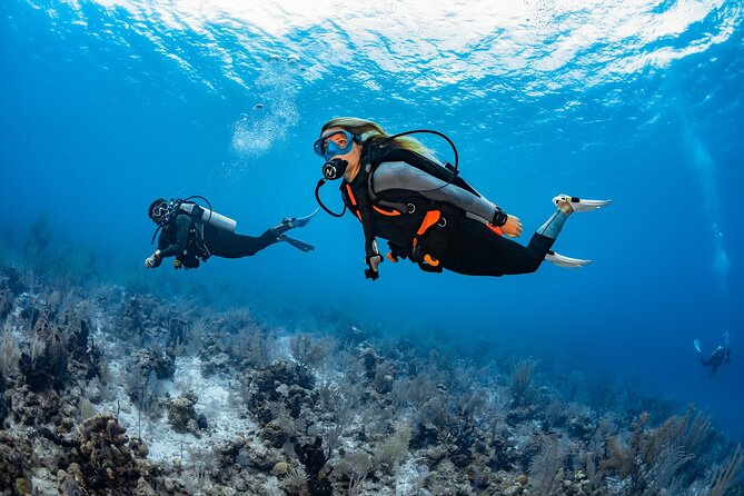 3-Hour Guided PADI Scuba Diving Experience in Tenerife - Directions to the Scuba Diving Location