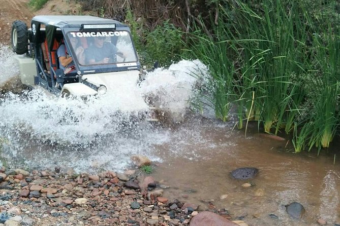 3 Hour Guided TomCar ATV Tour in Sonoran Desert - Meeting Point and Departure Information