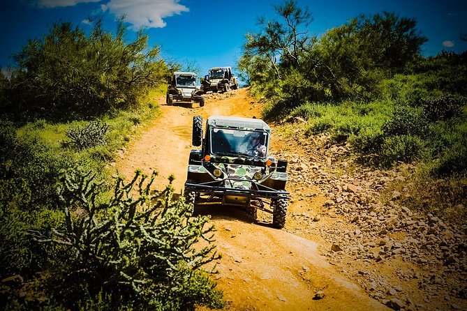 3 Hour Guided TomCar ATV Tour in Sonoran Desert - Weather Conditions and What to Wear