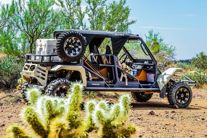 3 Hour Guided TomCar ATV Tour in Sonoran Desert - Positive Reviews and Unique Experiences