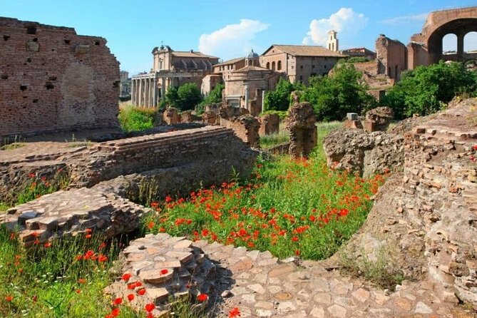 3-Hour Guided Tour: Women in Ancient Rome With Colosseum Forum & Palatine Hill - Women in Palatine Hill: Power and Privilege
