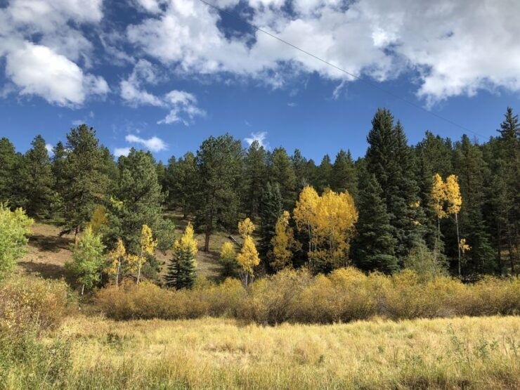 3 Hour Hiking Adventure Thru the Front Range of the Rockies - Activity Information