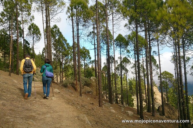 3-Hour Hiking Experience in Roque Nublo - Essential Information for Participants
