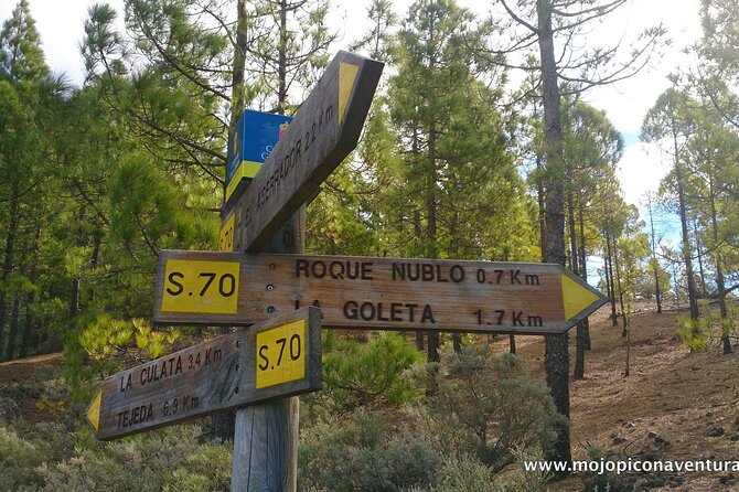 3-Hour Hiking Experience in Roque Nublo - Weather and Cancellation Policies