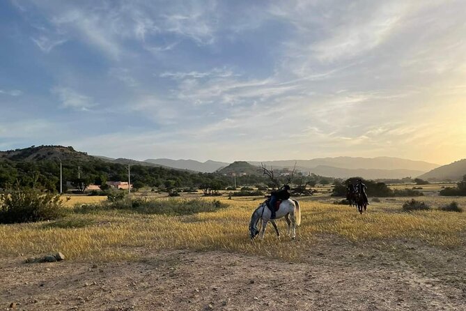 3-hour Horseback Ride Mountain and Beach Morocco - Additional Information and Pricing Details