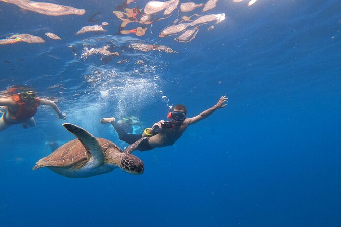 3 Hour Kayak and Snorkeling Experience in Tenerife - N/A (To Be Filled With Relevant Information)