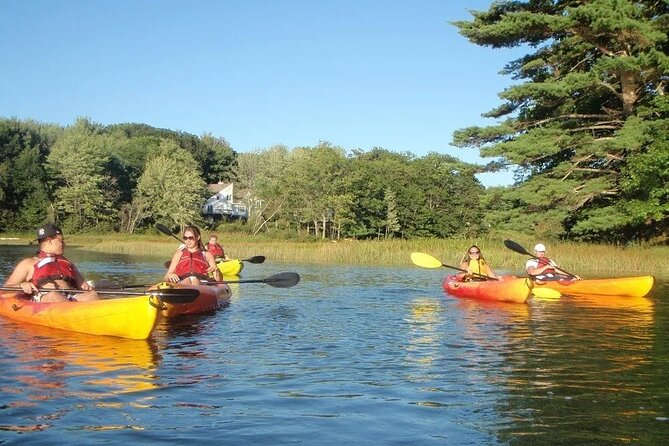 3 Hour Kayak/SUP Rental in Biddeford Pool - Price and Booking Details