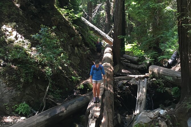 3-Hour Kayaking and Hiking in California's Central Coast - The Experience