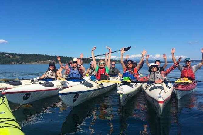 3 Hour Kayaking Tours from Friday Harbor - Good To Know