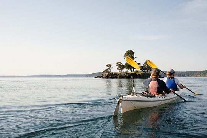 3 Hour Kayaking Tours from Friday Harbor - FAQs
