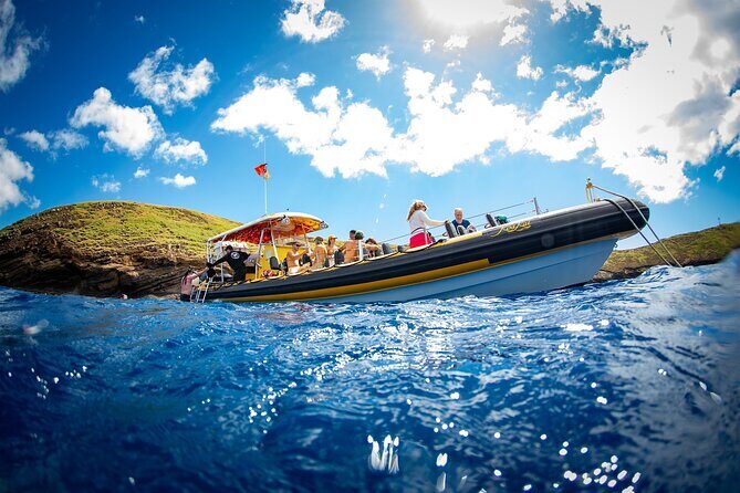 3-Hour Koa Kai Afternoon Adventure Snorkel - The Itinerary: What to Expect  