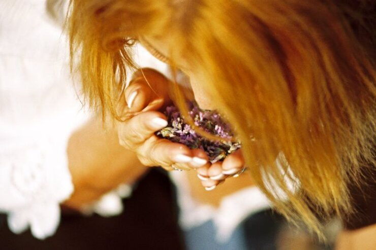 3-Hour Lavender Tour From Hvar - Booking Details