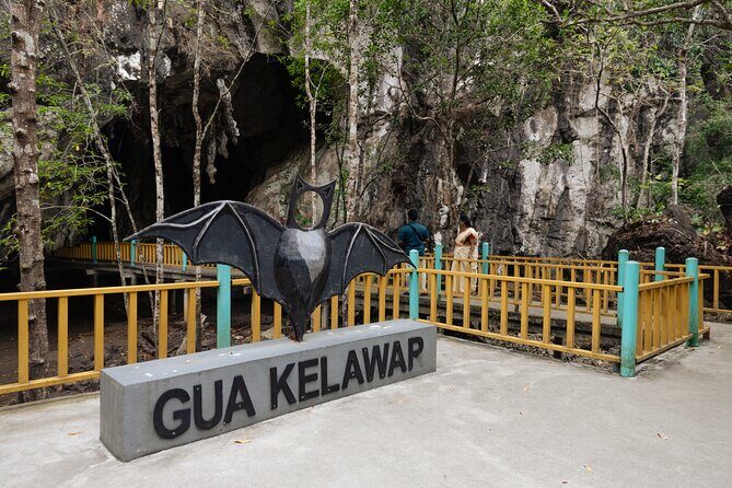 3 Hour Mangrove Tour with Bonus Snorkeling Experience - Final Thoughts