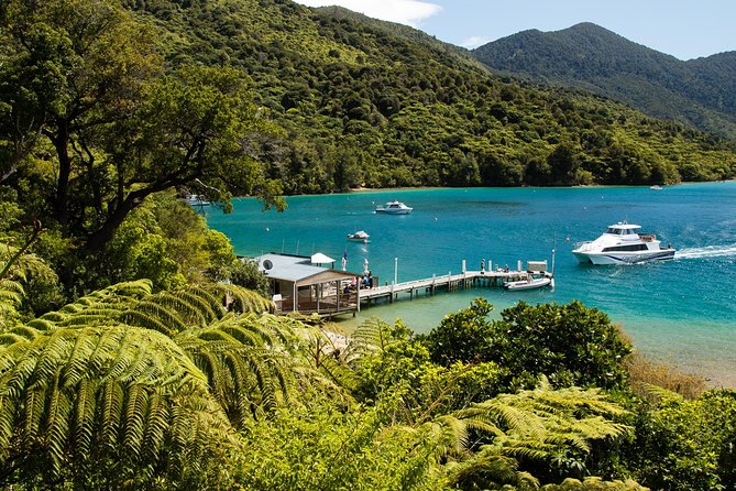 3 Hour Marlborough Sounds Delivery Cruise - Overview and Features of the Delivery Cruise